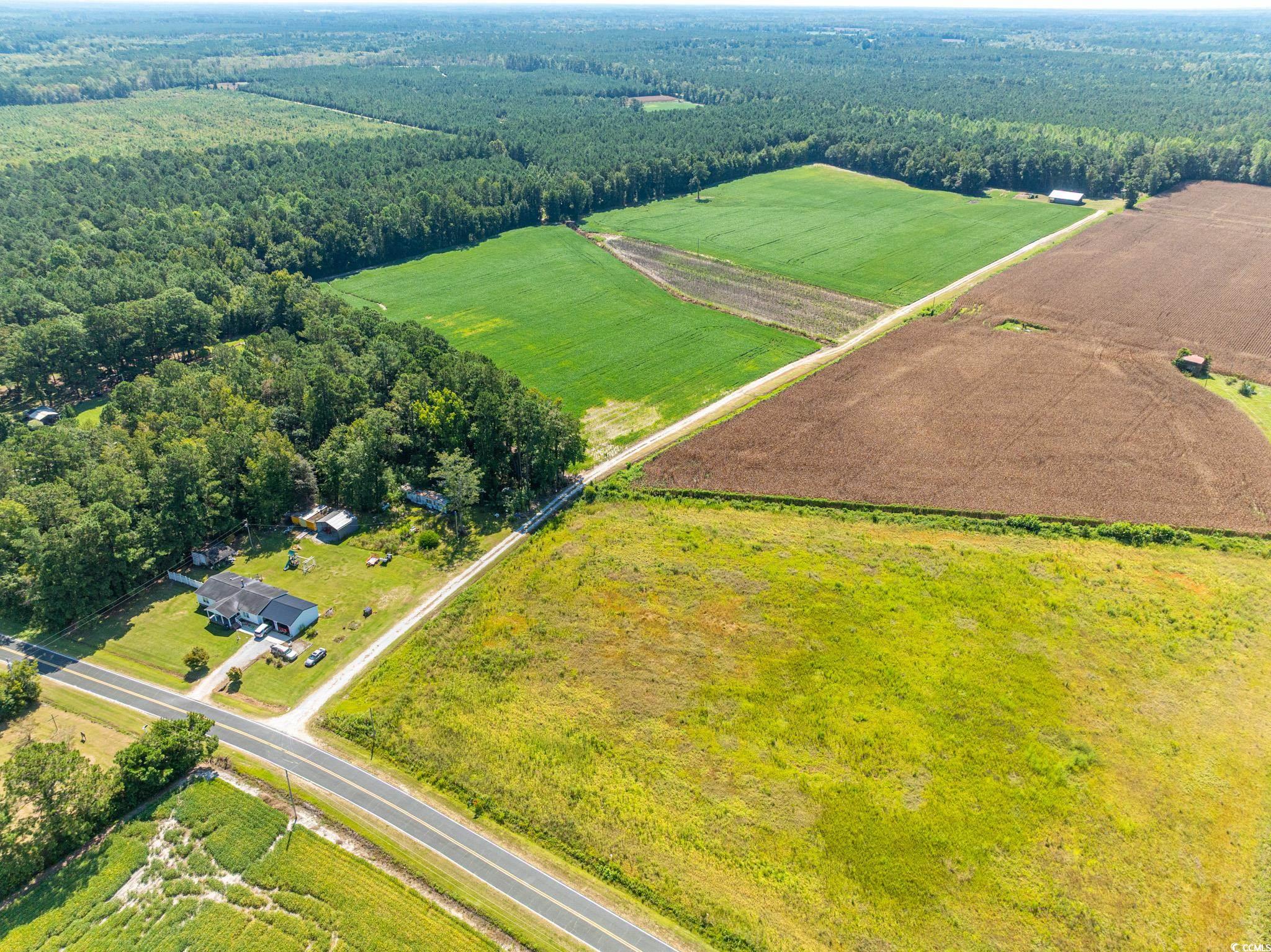 0 No Where Road Clarendon, NC 28432 - Photo 2 of 19 Aerial view of sparsely populated area featuring f