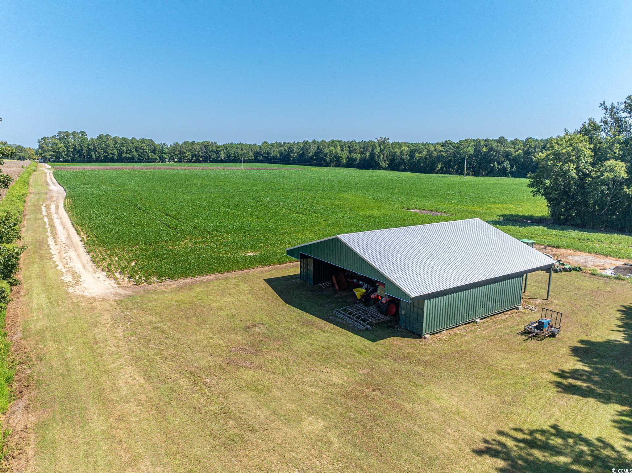 0 No Where Road Clarendon, NC 28432 - Photo 4 of 19 Overview of rural landscape