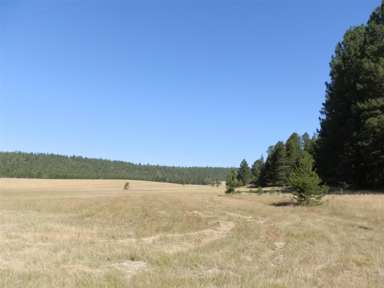 4271 Springdale-Hunters Road Springdale, WA 99173 - Photo 3 of 6