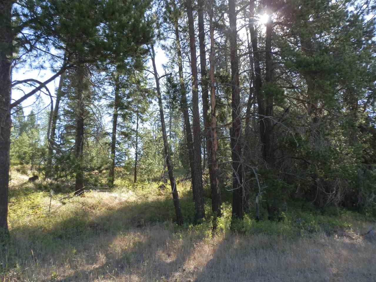 4271 Springdale-Hunters Road Springdale, WA 99173 - Photo 5 of 6