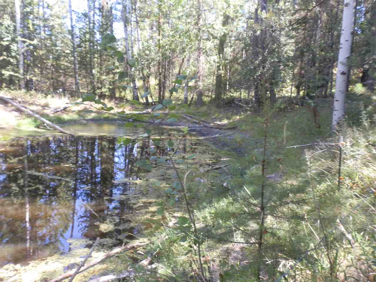 4271 Springdale-Hunters Road Springdale, WA 99173 - Photo 6 of 6