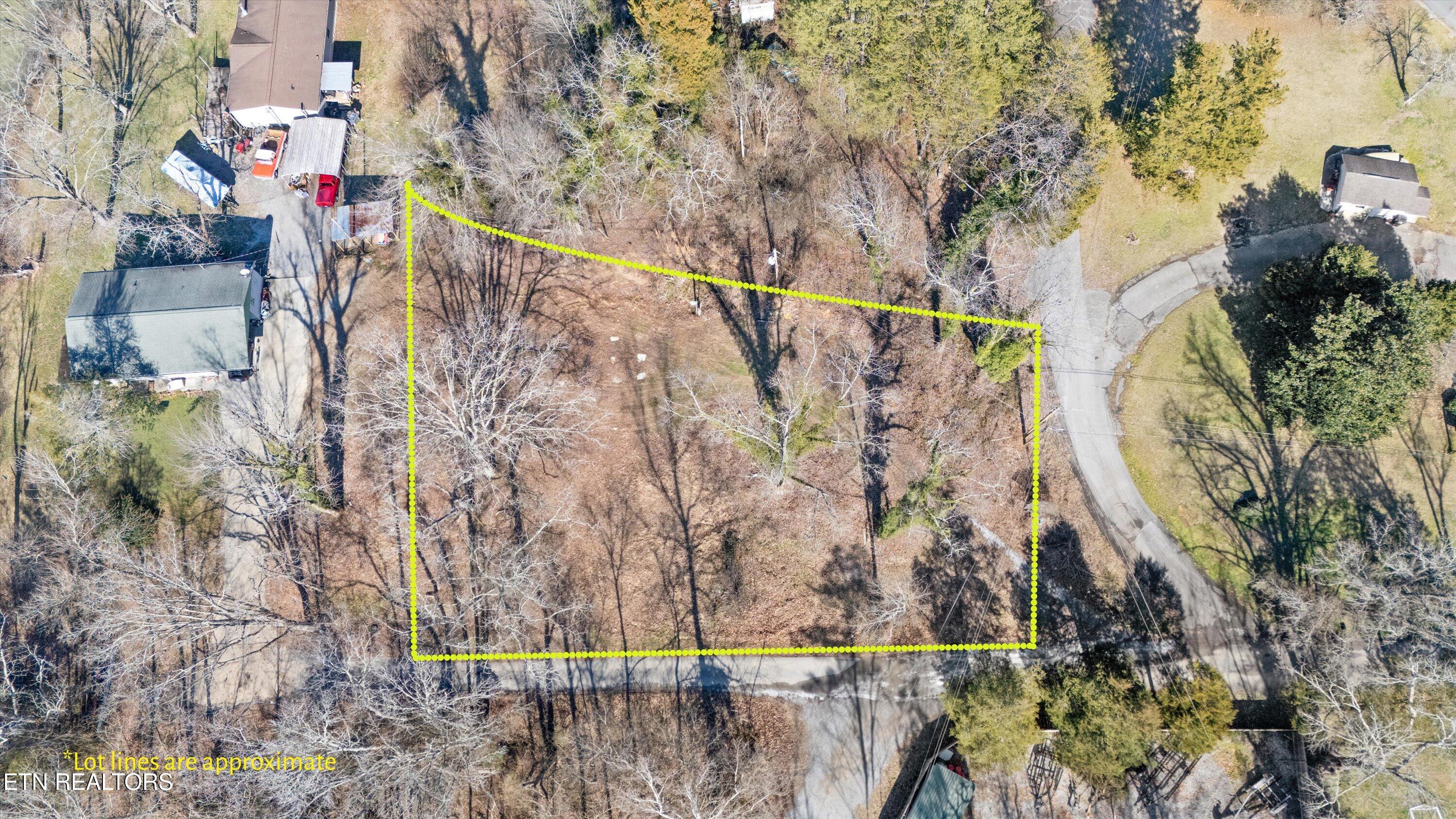 02-9136 Solway Ferry Rd05