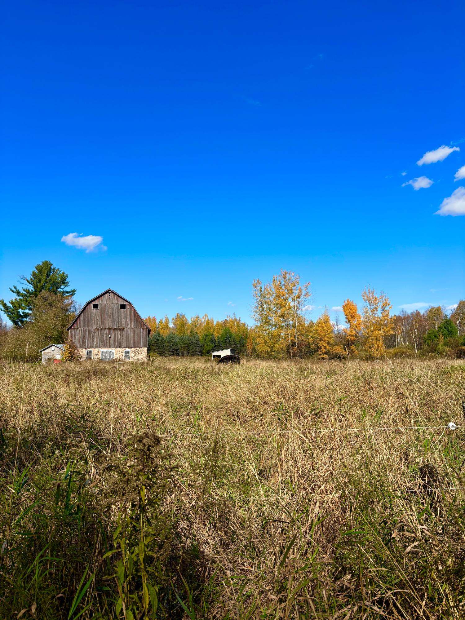 N6441 Lindow Road Prentice, WI 54556 - Photo 44 of 46 Gallery Image 44
