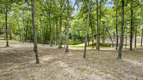 a view of outdoor space with trees