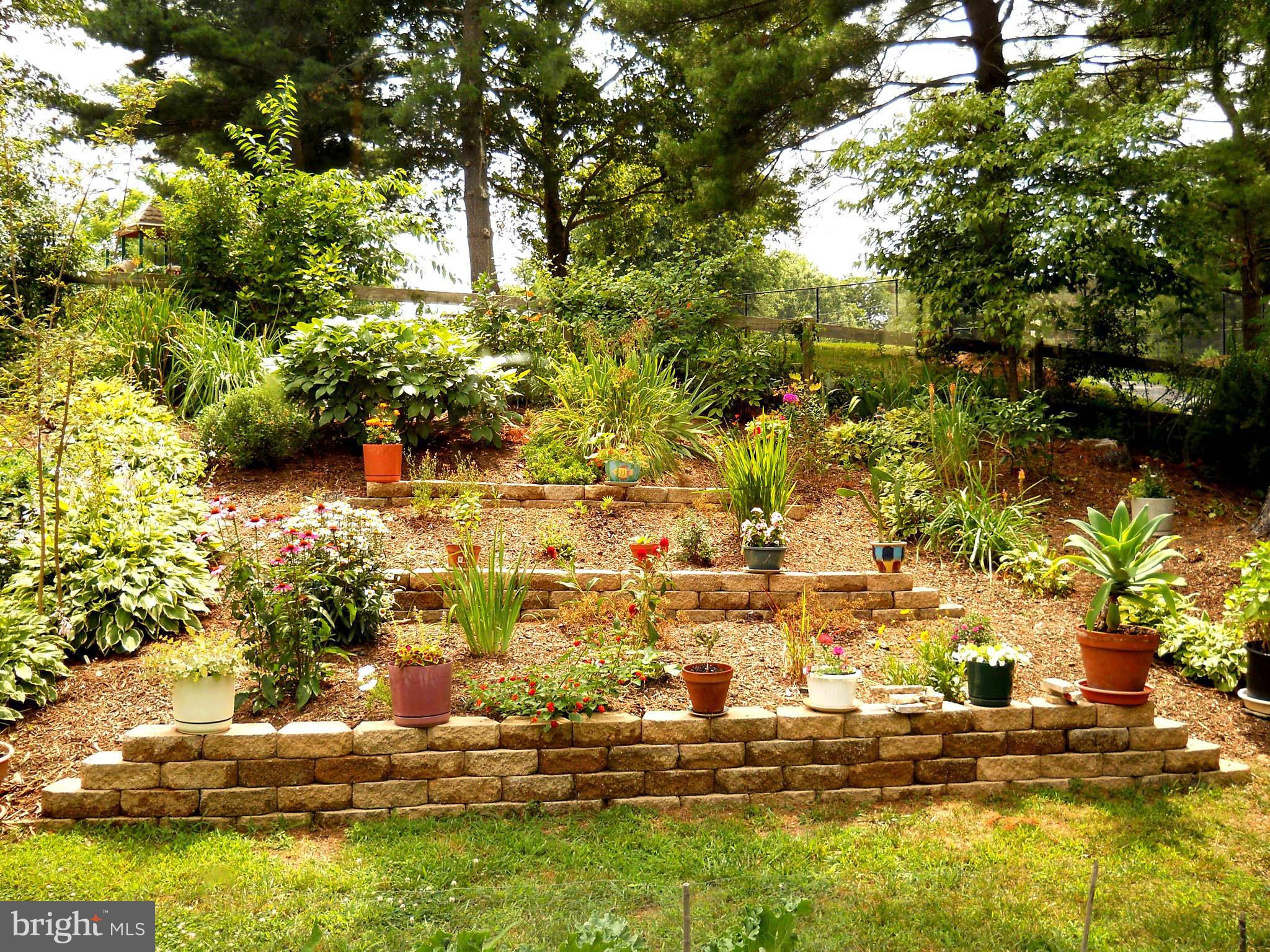 18924 Lindenhouse Road Gaithersburg, MD 20879 - Photo 24 of 29 Tiered Garden