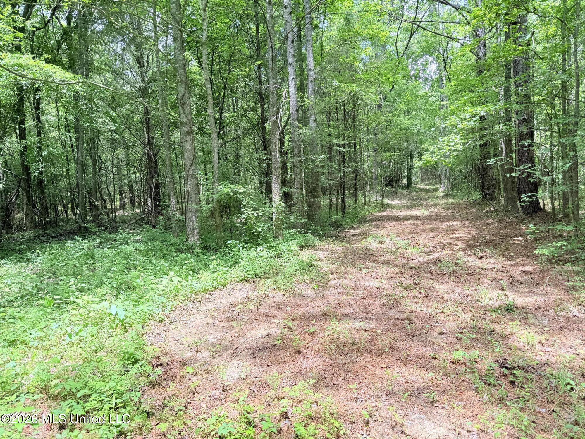 164 Potluck Road Canton, MS 39046 - Photo 11 of 25 IMG_5148
