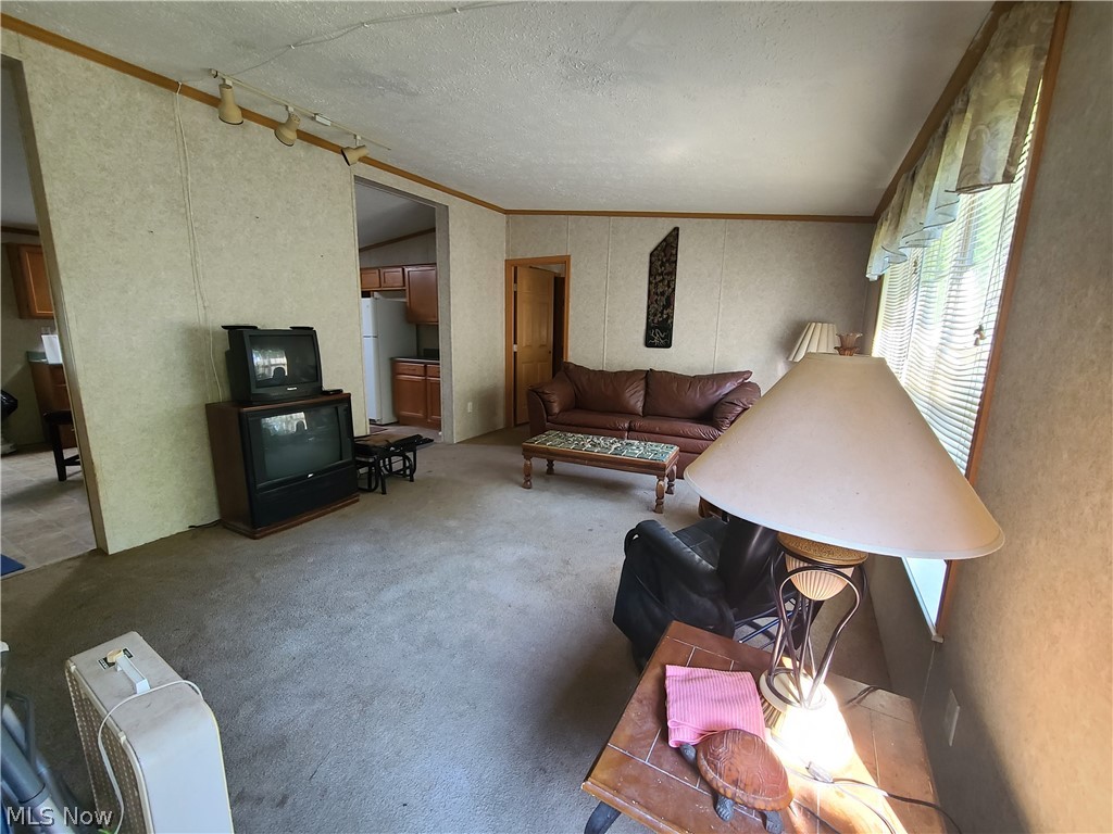 6709 Root Road Conneaut, OH 44030 - Photo 3 of 20