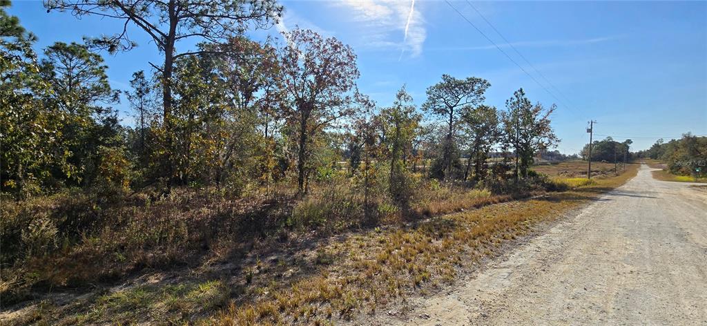 16392 Curlew Road Brooksville, FL 34614 - Photo 3 of 5 a view of a yard with a tree