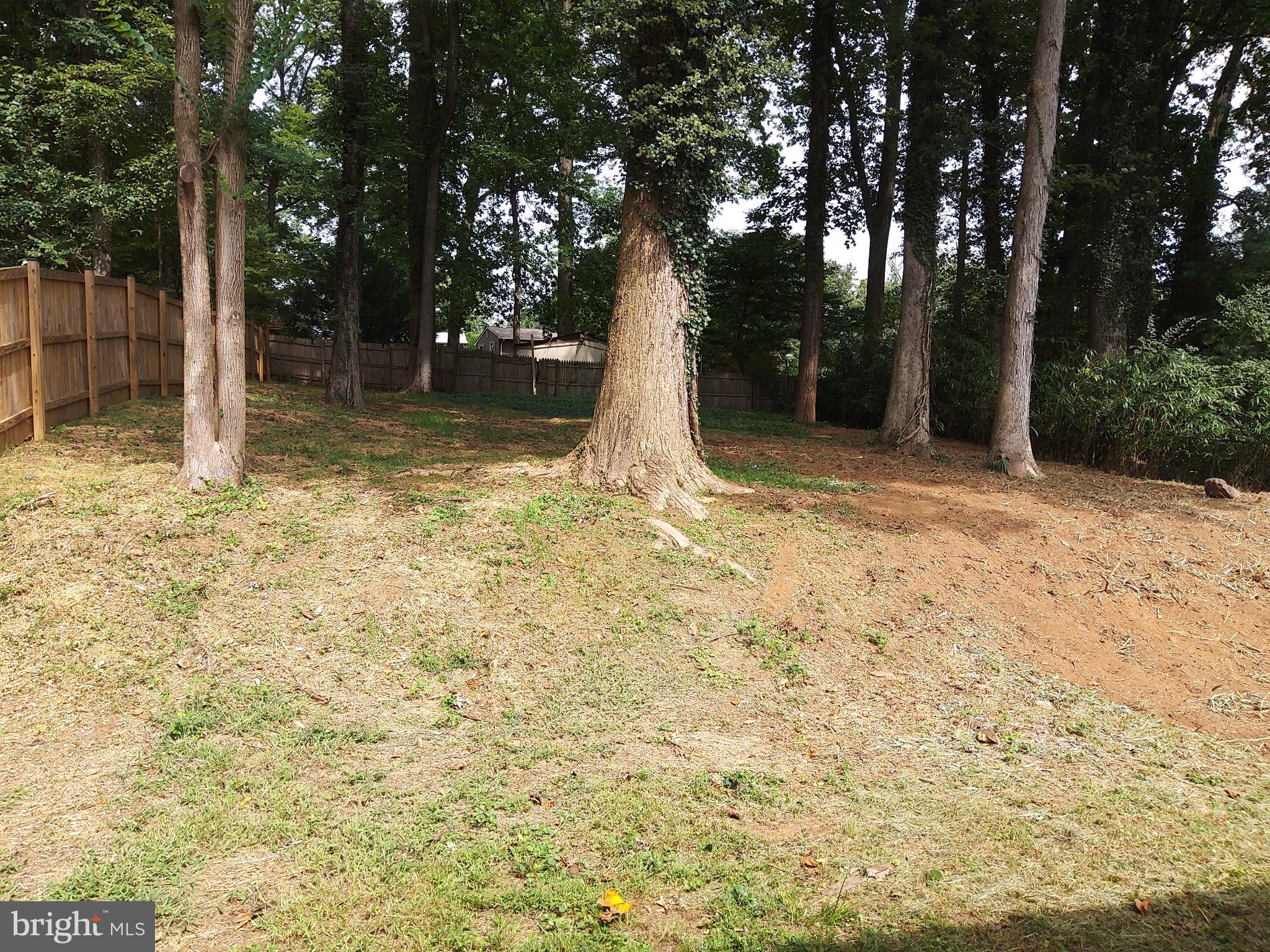 4205 Dahill Road Silver Spring, MD 20906 - Photo 23 of 25 Quarter Acre Lot