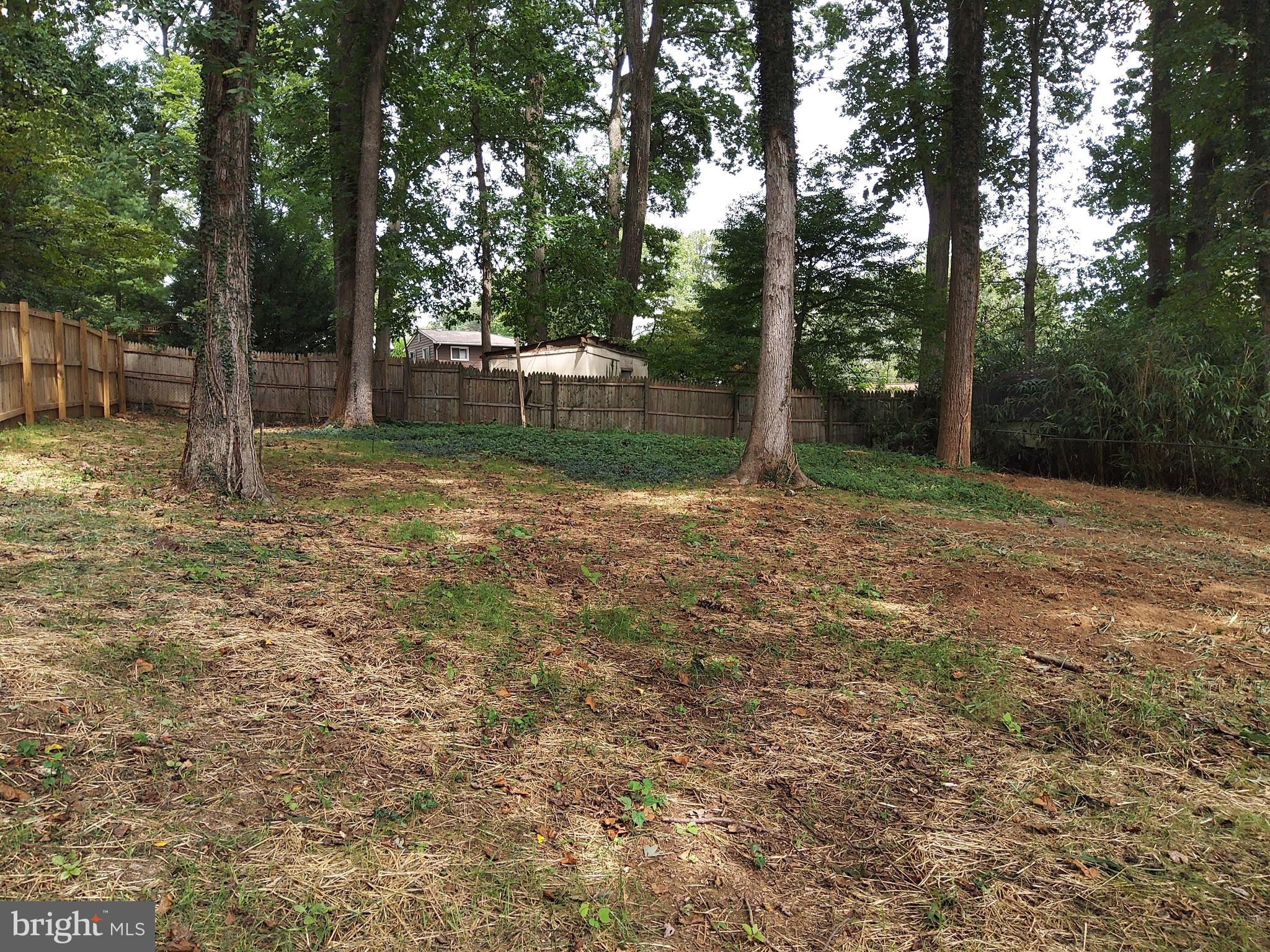 4205 Dahill Road Silver Spring, MD 20906 - Photo 24 of 25 Huge Fenced Back Yard