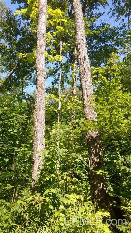 Tbd Lakeview Road Toivola, MI 49965 - Photo 38 of 43 Gallery Image 38