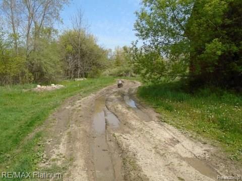 8070 Silver Lake Road Linden, MI 48451 - Photo 8 of 25 Gallery Image 8