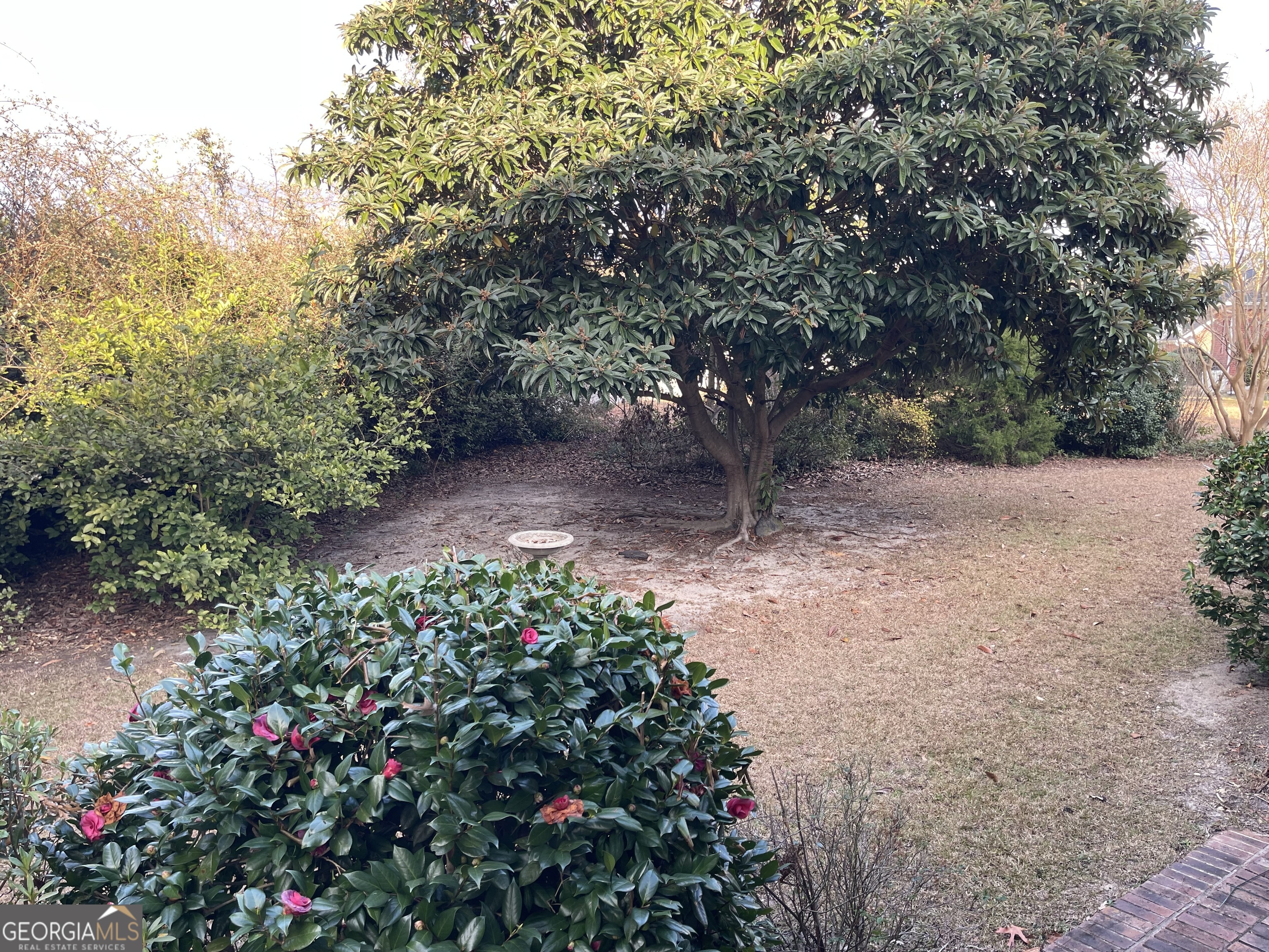 137 Blue Ridge Drive Statesboro, GA 30458 - Photo 25 of 26 a view of a garden with plants and large trees