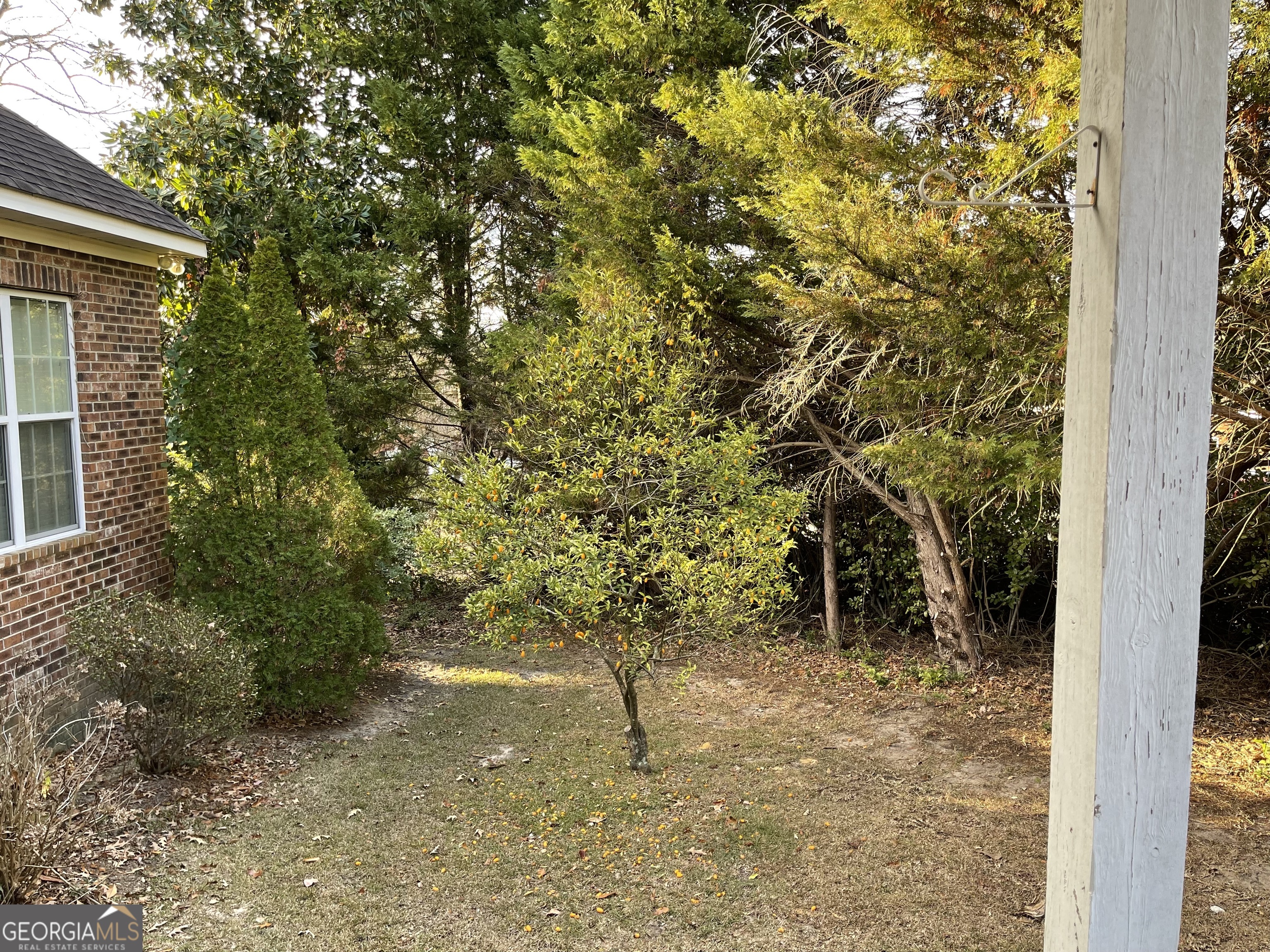 137 Blue Ridge Drive Statesboro, GA 30458 - Photo 26 of 26 a view of a yard with plants and large trees
