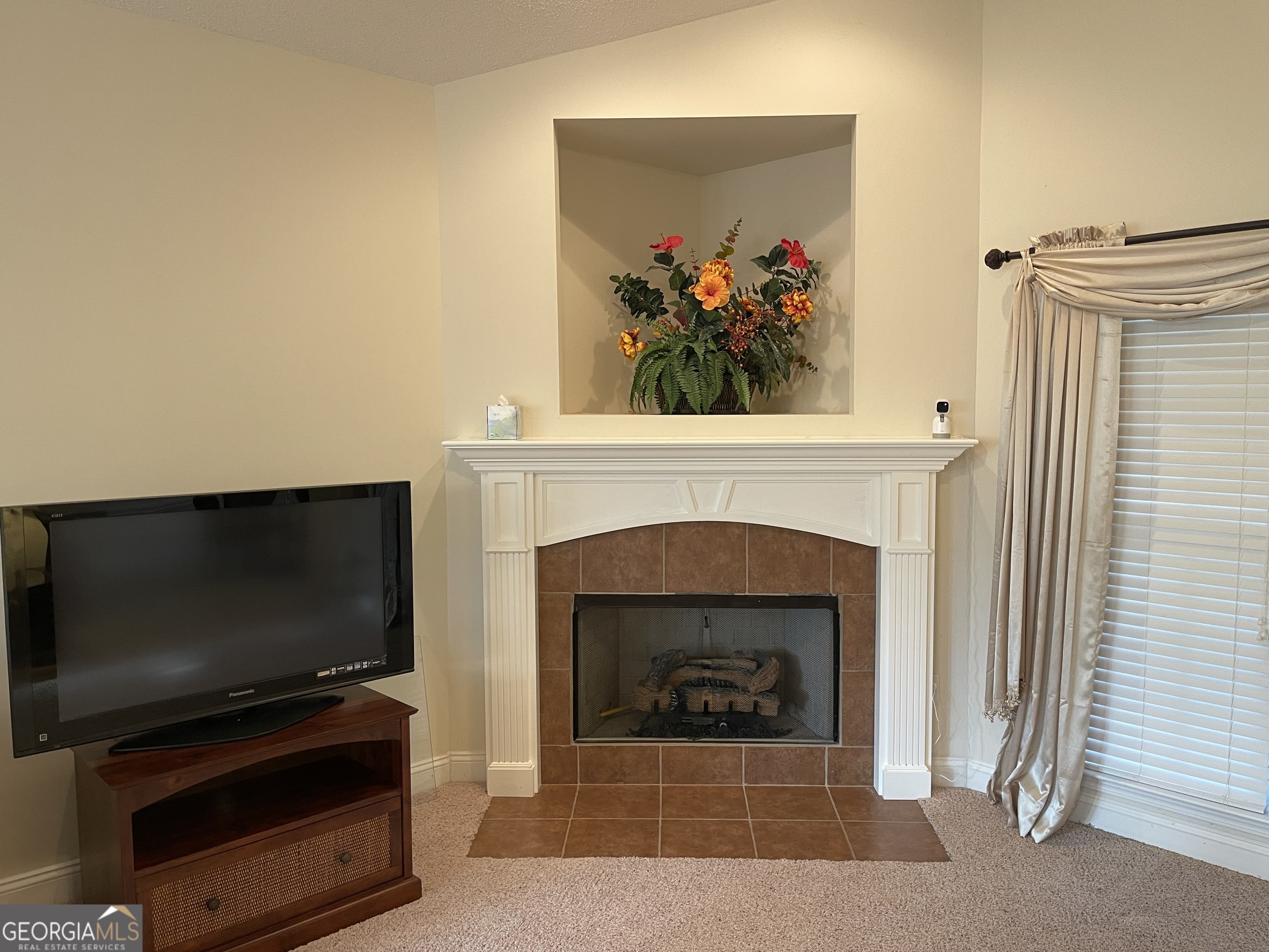 137 Blue Ridge Drive Statesboro, GA 30458 - Photo 5 of 26 a living room with a fireplace and a flat screen tv