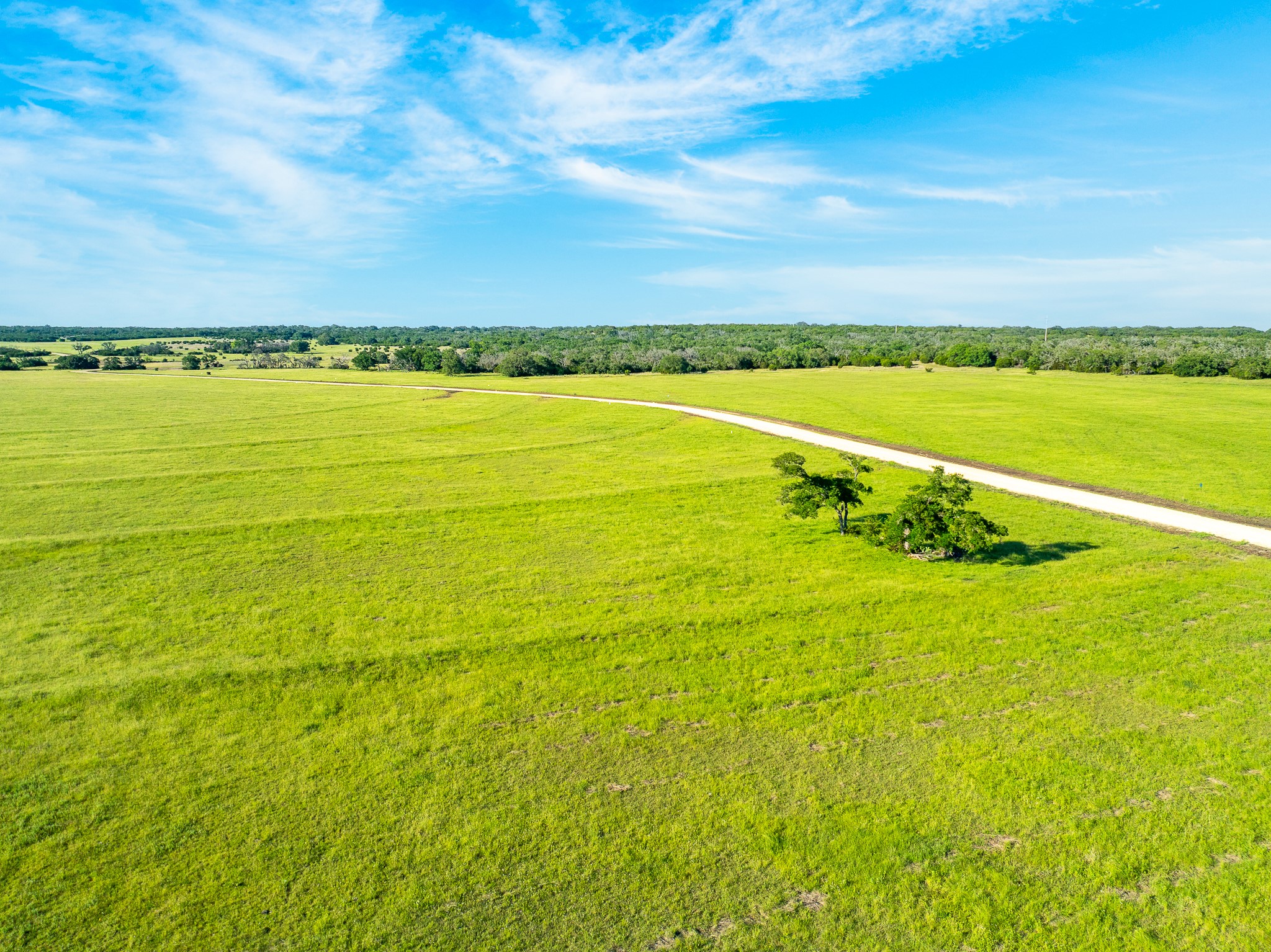 32 Feild Ranch Road Burnet, TX 78611 - Photo 10 of 40 A long, winding gravel path leads through open, verdant pastureland under a vast, clear sky.