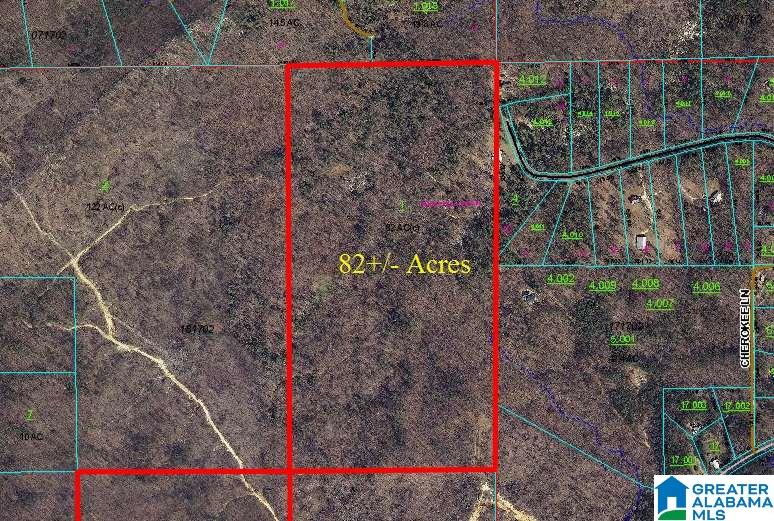 Cherokee Road, Unit 82 Cropwell, AL 35054 - Photo 2 of 9 Gallery Image 2