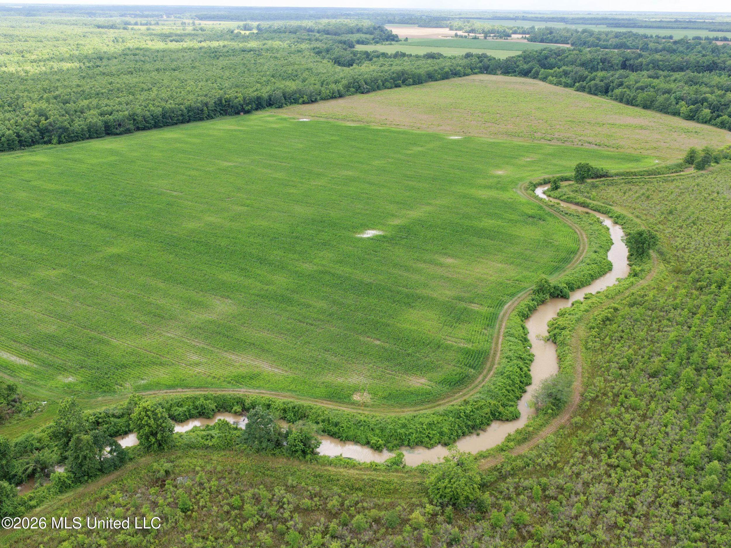 Dummyline Road Batesville, MS 38606 - Photo 21 of 44 2tndllnd9