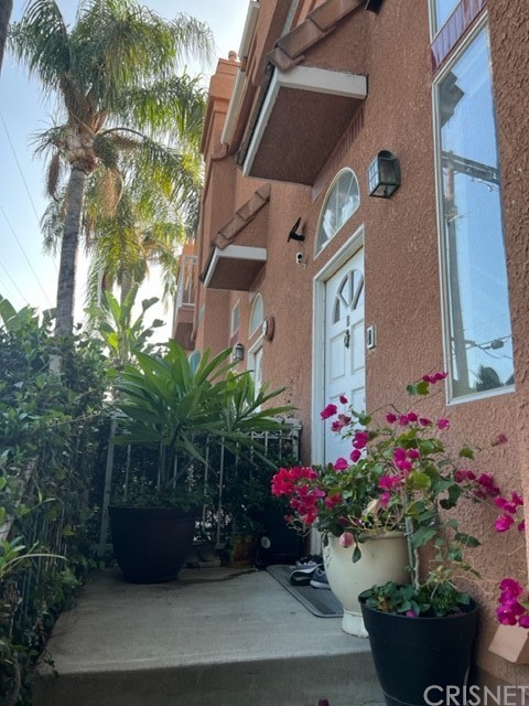 a view of a potted plants next to a building