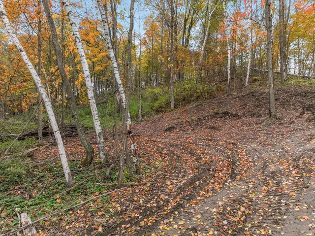 $72,500 | Tbd Lot 2 Tbd Avenue, Glenwood City, WI 54013