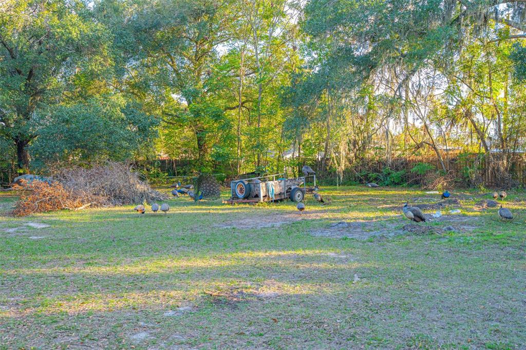 945 South Lake Pleasant Road Apopka, FL 32703 - Photo 30 of 31