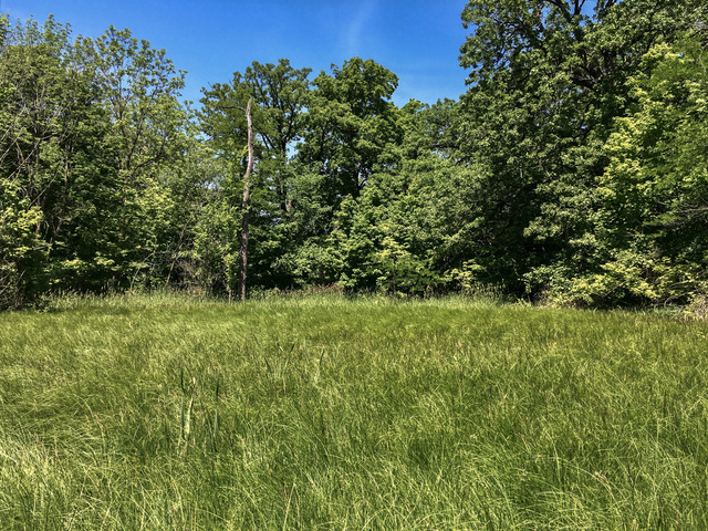 1 South Prairie Road Ashton, IL 61006 - Photo 22 of 39 a view of a lush green space