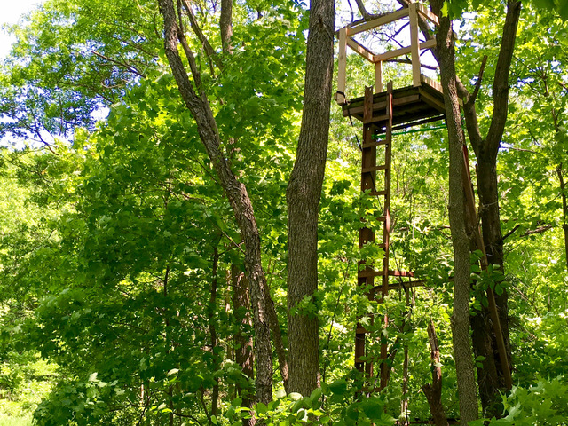 1 South Prairie Road Ashton, IL 61006 - Photo 26 of 39 a view of forest