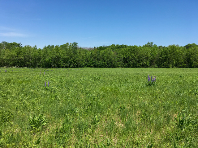 1 South Prairie Road Ashton, IL 61006 - Photo 5 of 39 a view of field with trees in the background