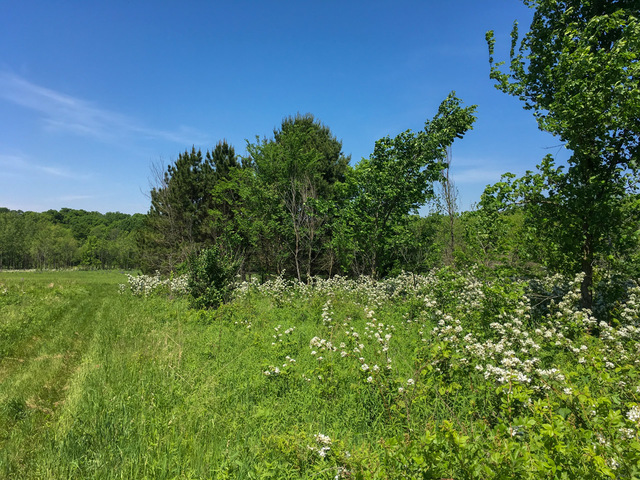 1 South Prairie Road Ashton, IL 61006 - Photo 8 of 39 a view of a lush green space