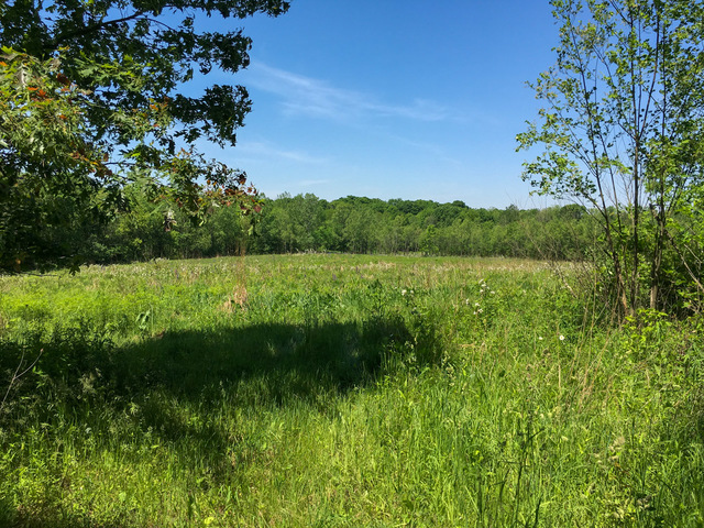 1 South Prairie Road Ashton, IL 61006 - Photo 9 of 39