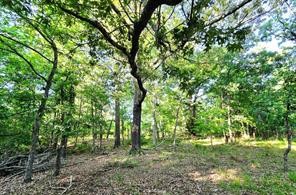 0 Timber Ridge Larue, TX 75770 - Photo 13 of 25
