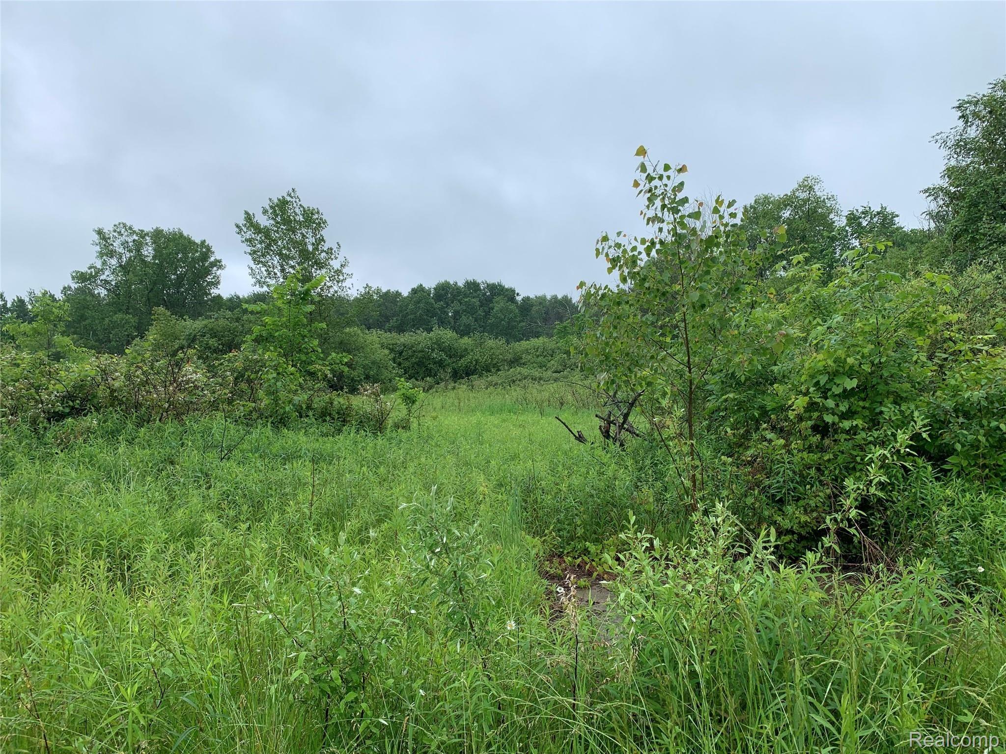 6654 Pringle Road Cass City, MI 48726 - Photo 51 of 67 IMG_0591.jpg