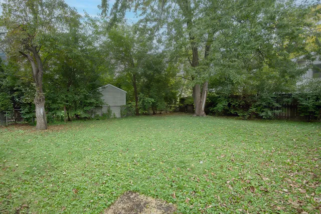 a view of a backyard with a trees