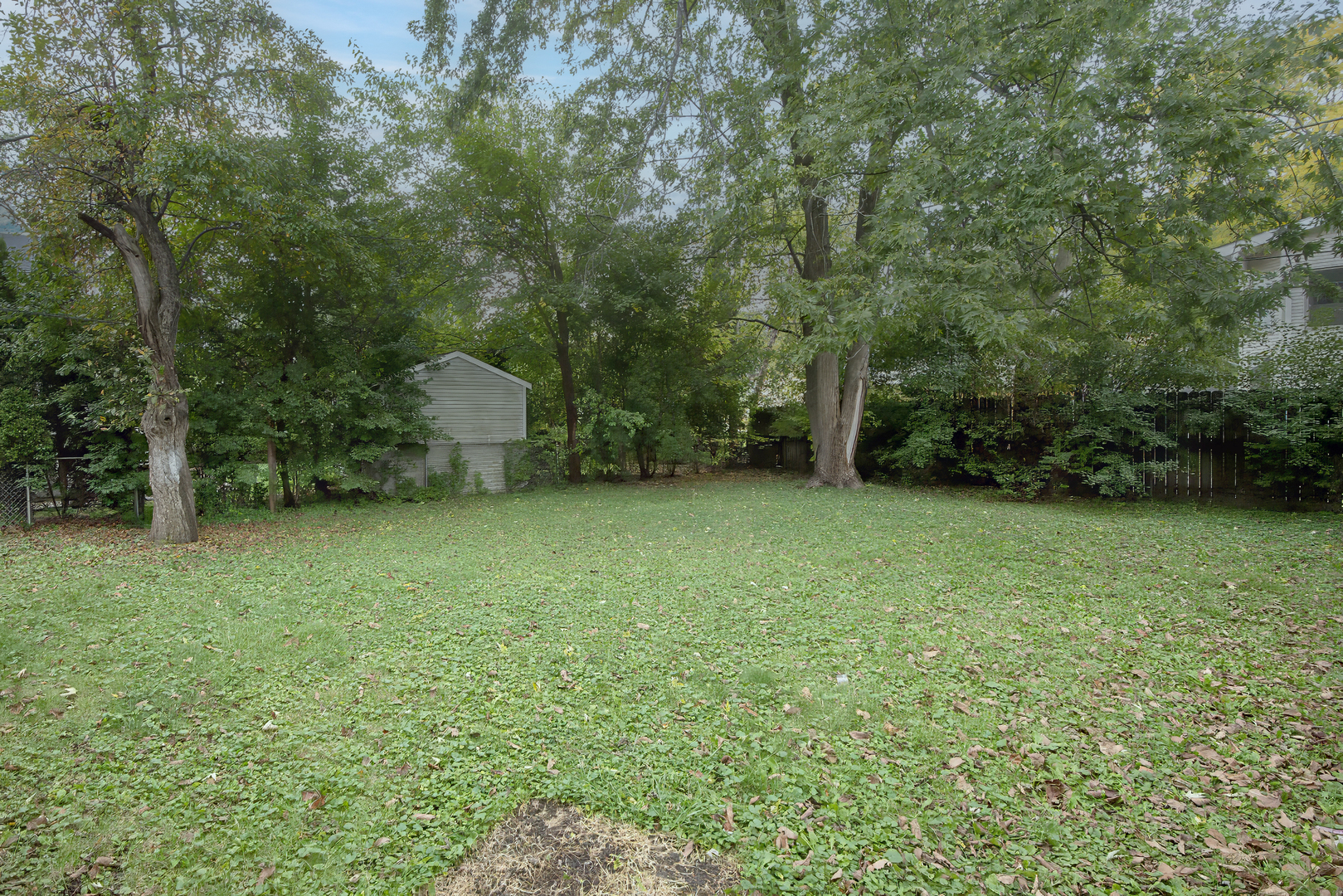 216 Flora Avenue Glenview, IL 60025 - Photo 40 of 40 a view of a backyard with a trees