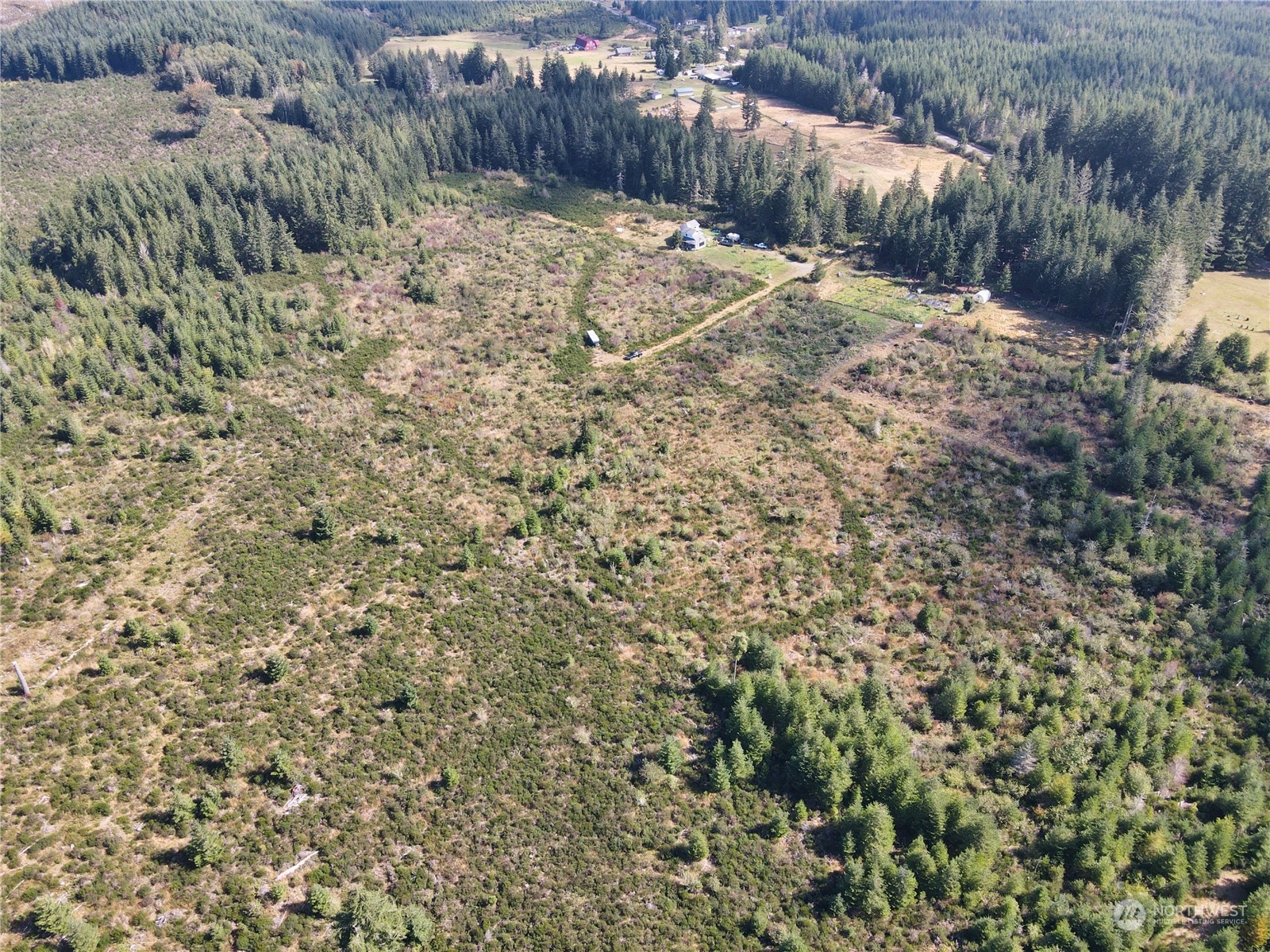 0 West Matlock-Brady Road Elma, WA 98541 - Photo 4 of 9 Gallery Image 4
