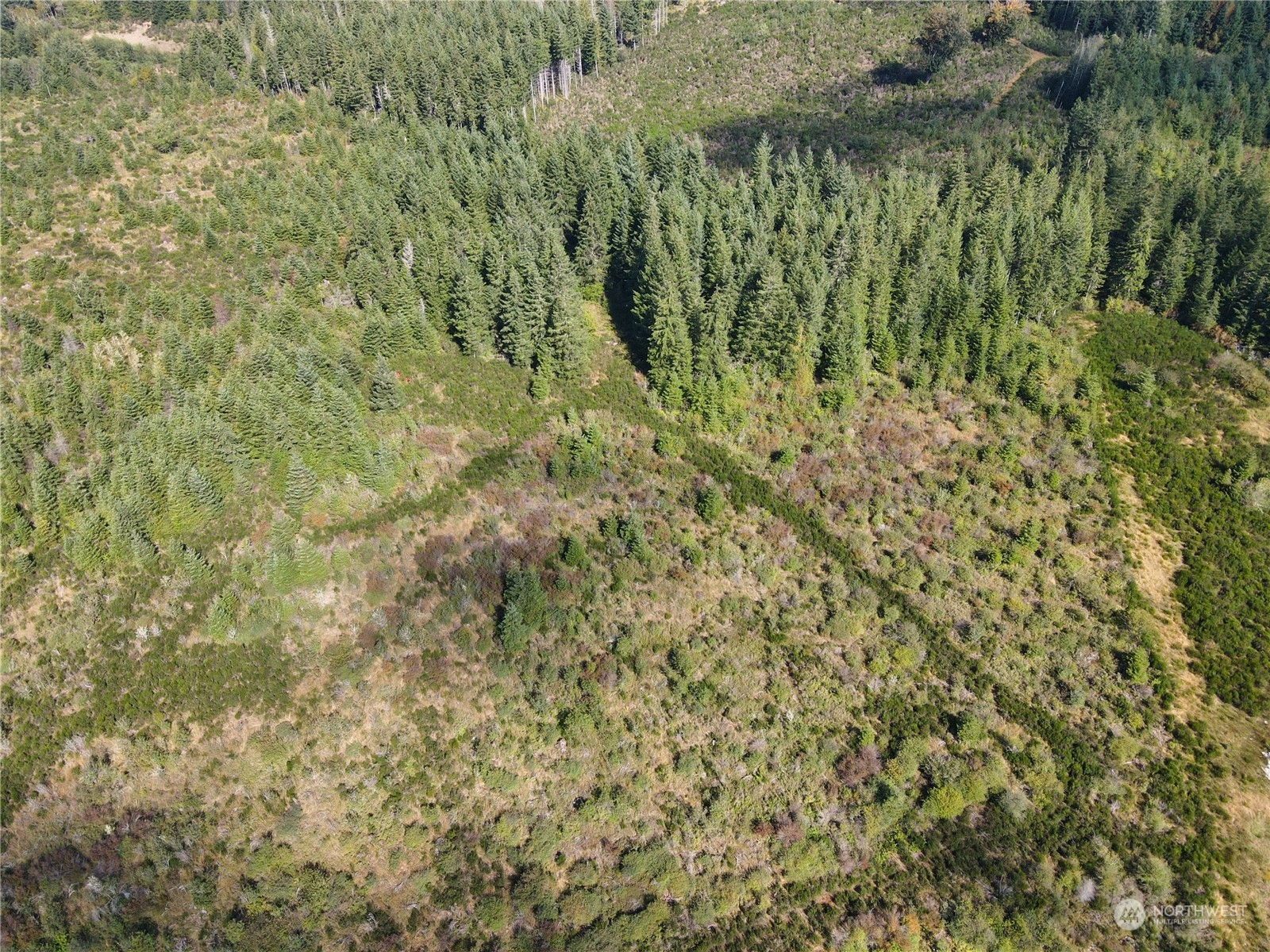 0 West Matlock-Brady Road Elma, WA 98541 - Photo 5 of 9 Gallery Image 5