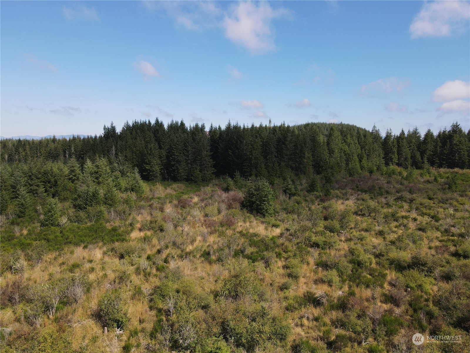 0 West Matlock-Brady Road Elma, WA 98541 - Photo 6 of 9 Gallery Image 6