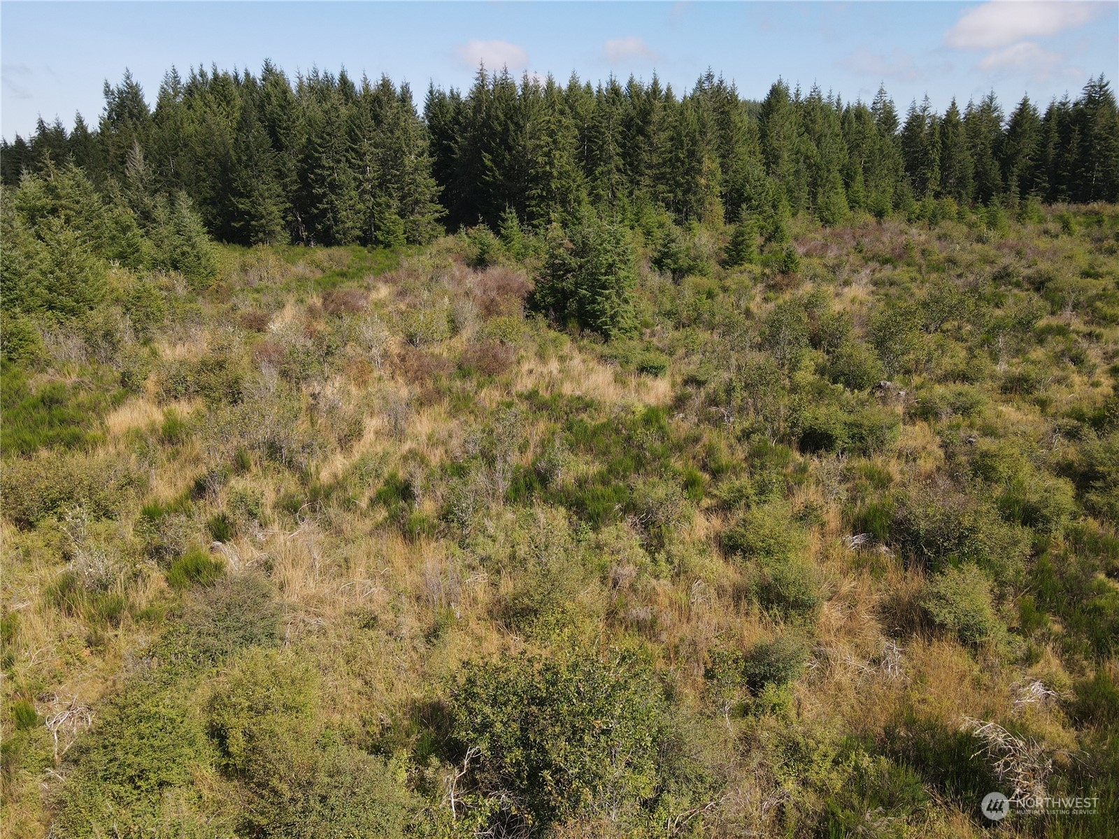 0 West Matlock-Brady Road Elma, WA 98541 - Photo 7 of 9 Gallery Image 7
