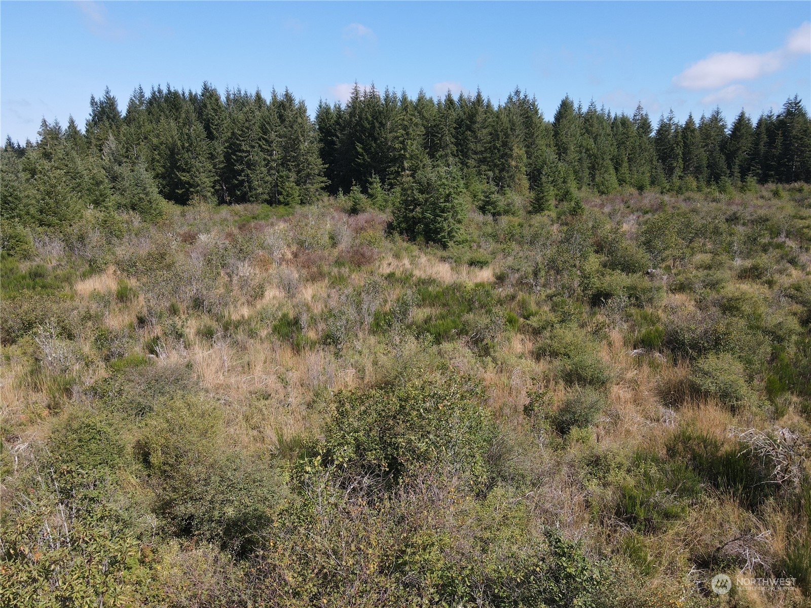 0 West Matlock-Brady Road Elma, WA 98541 - Photo 8 of 9 Gallery Image 8