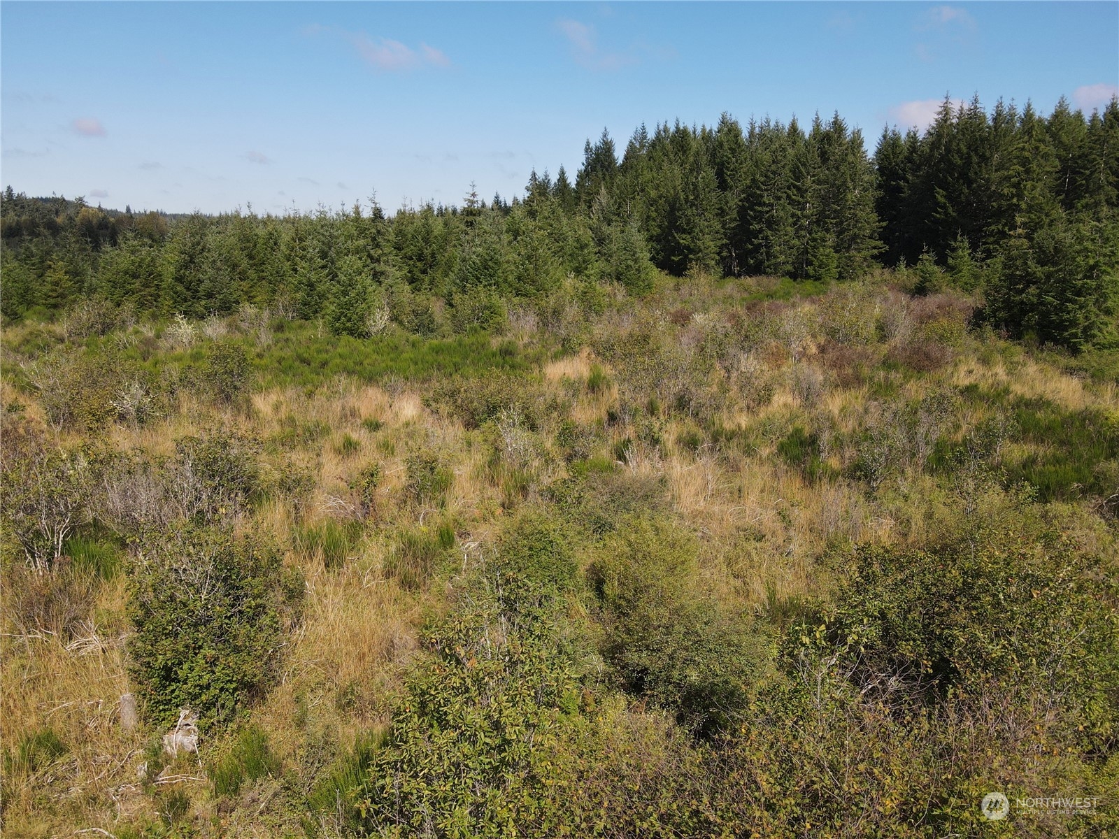 0 West Matlock-Brady Road Elma, WA 98541 - Photo 9 of 9 Gallery Image 9