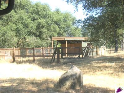 47330 Modoc Road Coarsegold, CA 93614 - Photo 6 of 7 Stable