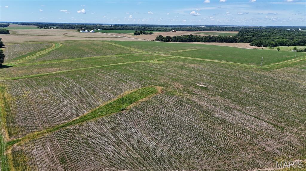 96.59 Acres Rock Road Bellflower, MO 63333 - Photo 11 of 21