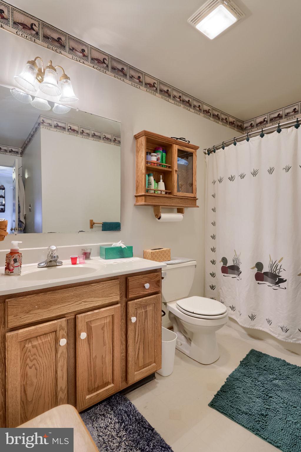 17 Georgetown Court Mountville, PA 17554 - Photo 21 of 32 Charming bath with rustic accents.