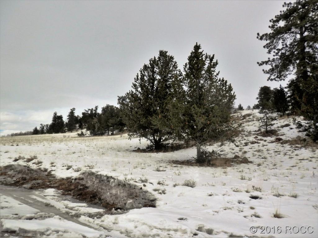 Tbd Hutke Road Hartsel, CO 80449 - Photo 1 of 4