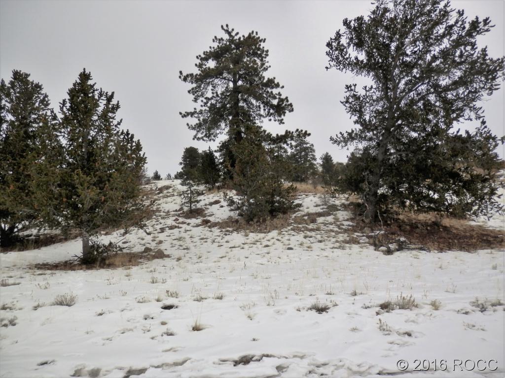 Tbd Hutke Road Hartsel, CO 80449 - Photo 2 of 4