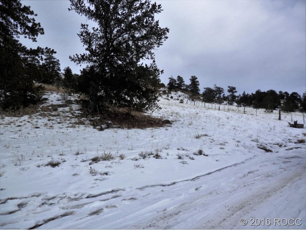 Tbd Hutke Road Hartsel, CO 80449 - Photo 3 of 4