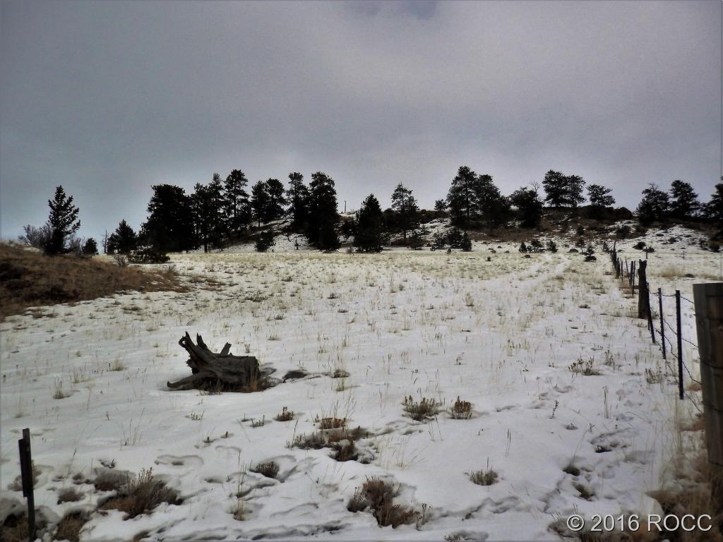 Tbd Hutke Road Hartsel, CO 80449 - Photo 4 of 4