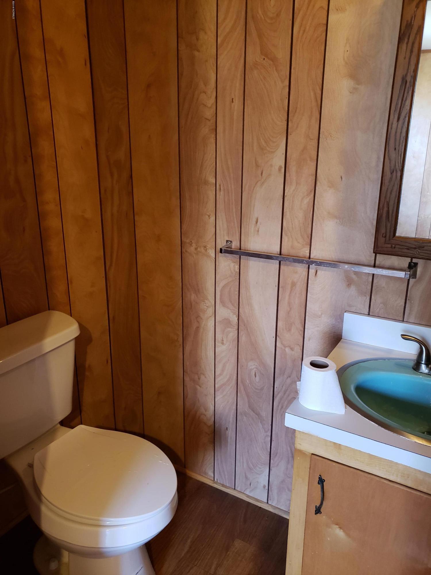 1287 Haw Branch Road Beulaville, NC 28518 - Photo 9 of 17 Master Half Bath