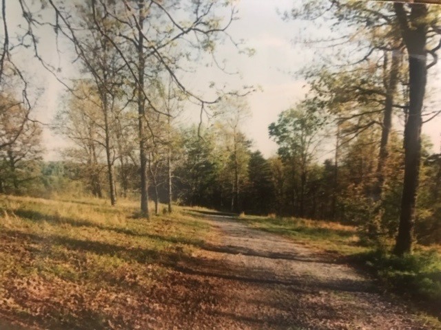 636 Highway 304 Decatur, TN 37322 - Photo 1 of 4 Gallery Image 1