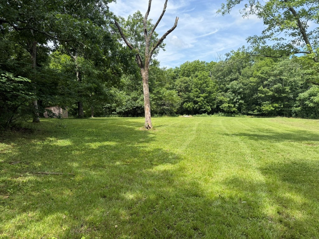 8192 Hant Hollow Road Rockvale, TN 37153 - Photo 4 of 22